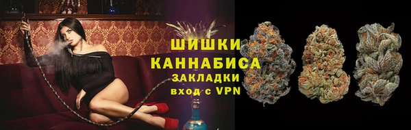 Альфа ПВП Лабытнанги