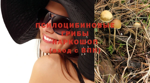 гашик Кукмор