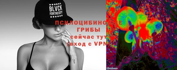 прущий лед Лагань