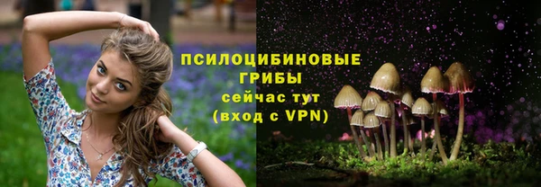 кокс Ладушкин