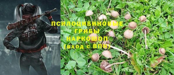 не бодяженный Куйбышев