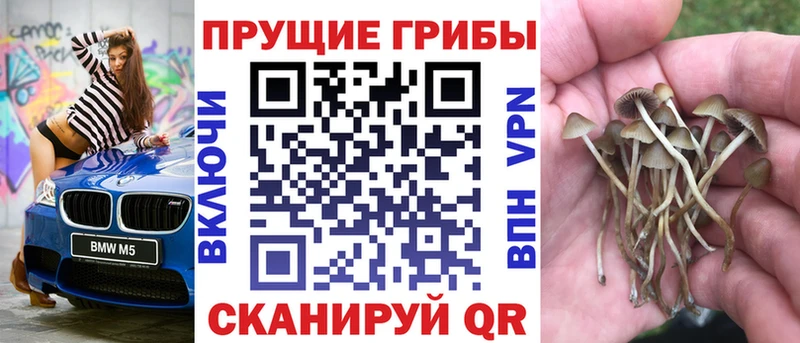 Купить где  Лобня  Галлюциногенные грибы MAGIC MUSHROOMS 